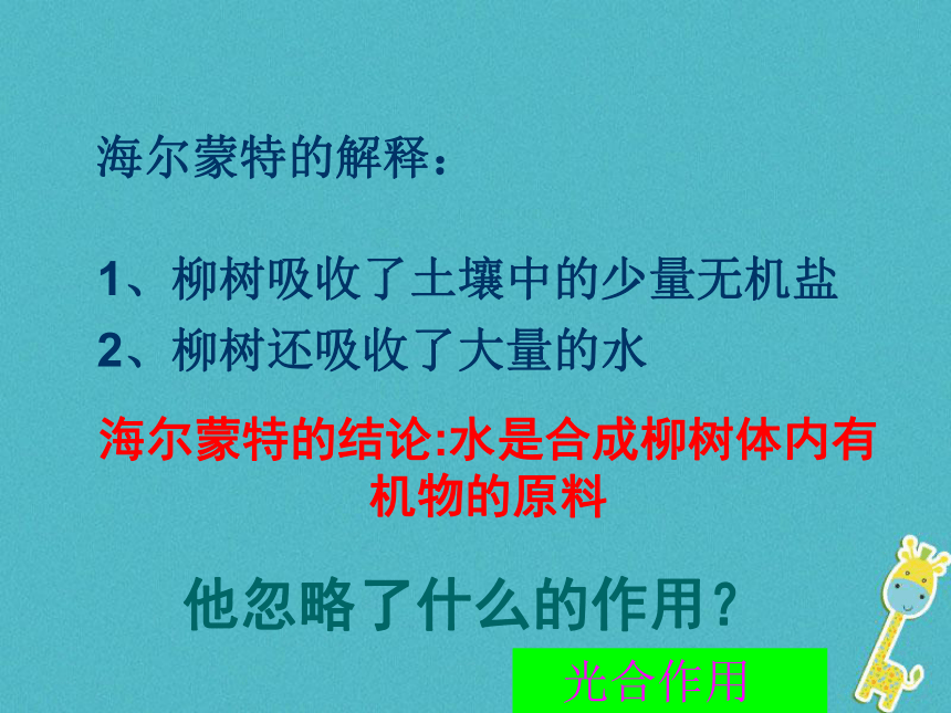 第五章 第一节光合作用吸收二氧化碳释放氧气 课件（共30张PPT）