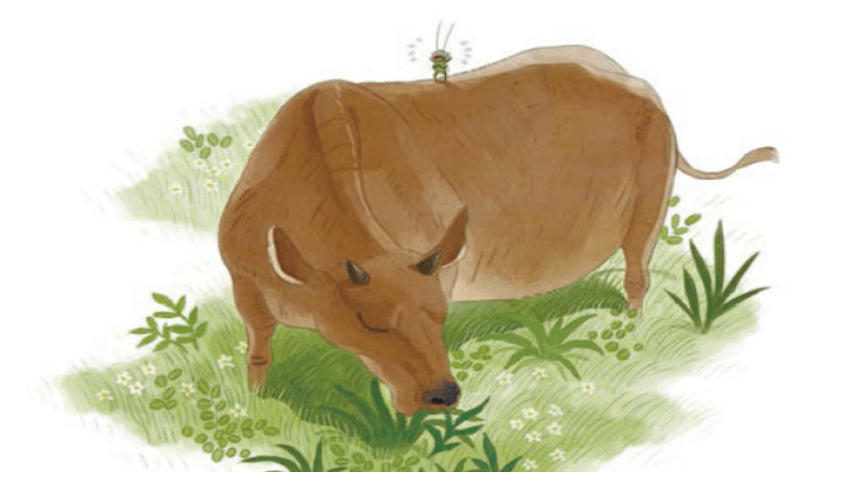 部编版小学语文三年级上册  10 在牛肚子里旅行  课件（31张PPT）