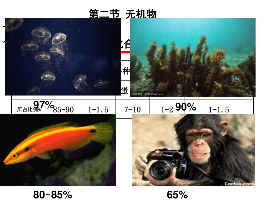 高中生物浙科版必修1 分子与细胞第一章 第二节无机物 课件（32张）