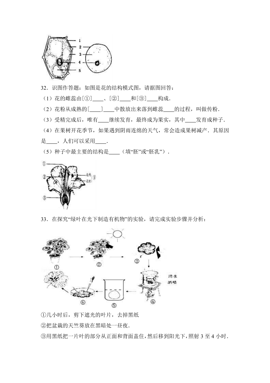 黑龙江省大庆市林甸县2016-2017学年七年级（上）期末生物试卷（解析版）