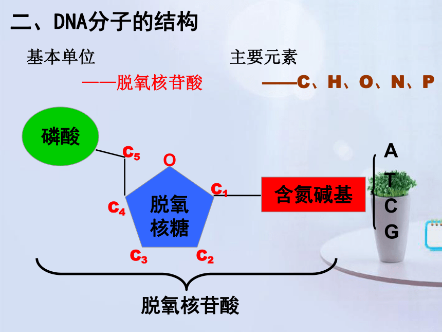 高中生物人教版必修2第三章第2节DNA分子的结构   课件(25张)