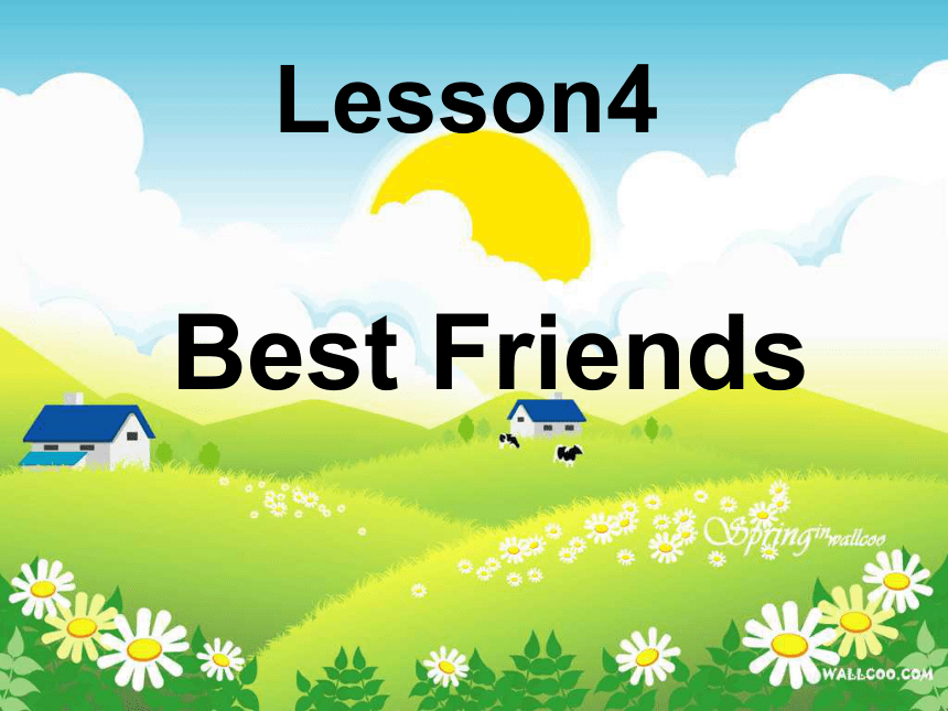 英语冀教版八年级上册Unit 1 Me and My Class Lesson 4 Best Friends.课件(17张PPT)