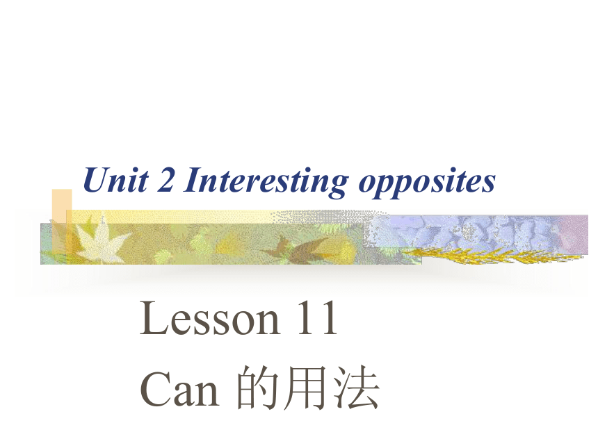 Unit 2 Interesting opposites Lesson 11 Can的用法课件
