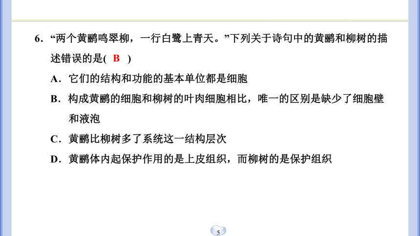 浙教版科学 7年级上册 期中质量评估试卷(A)（课件版 36张PPT）