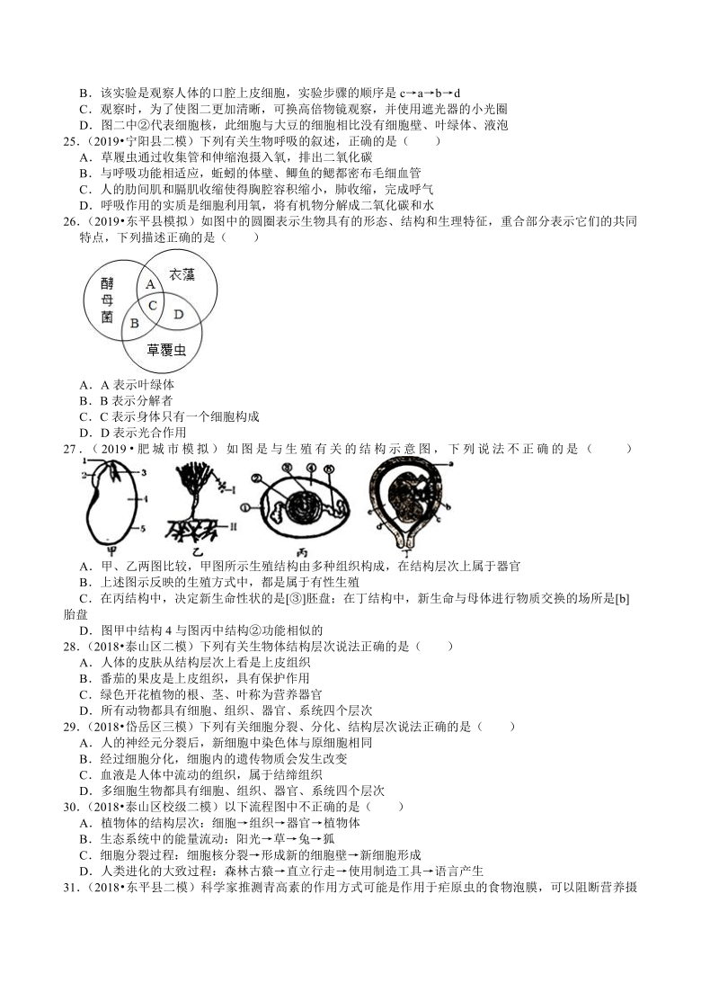 2018-2020年山东中考生物各地区模拟试题分类（泰安专版）（1）——生命的结构层次（word版含解析）