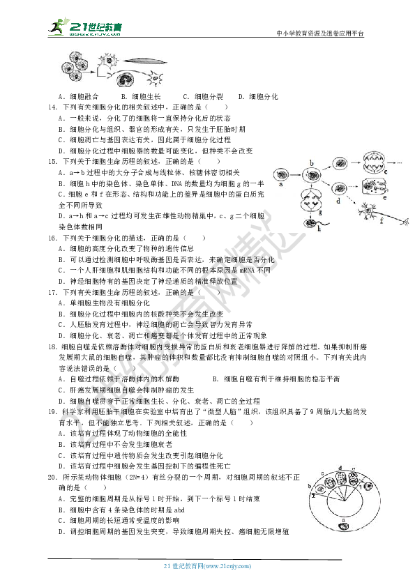 浙科版高中生物必修1 第四章：细胞的增殖与分化 单元测试卷（1）