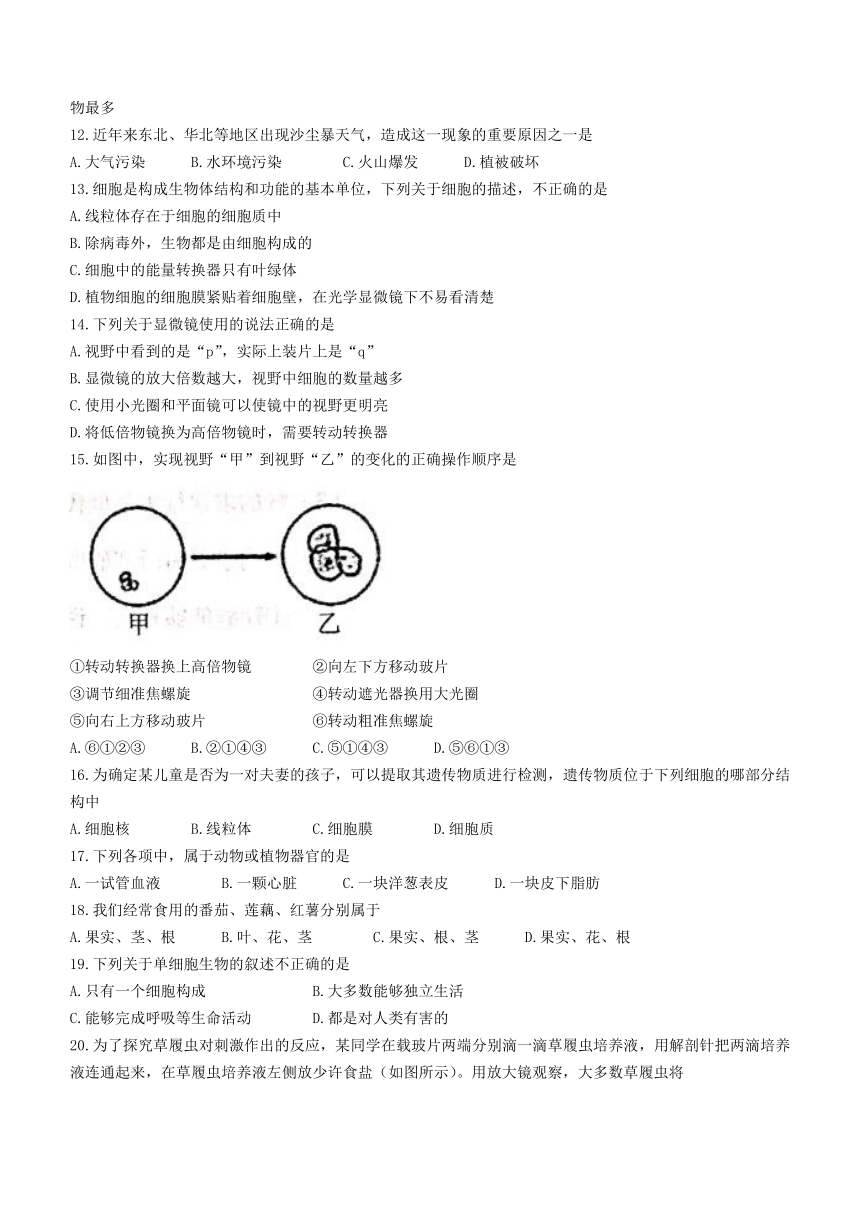 河南省漯河市20212022學年七年級上學期期中生物試題word版無答案