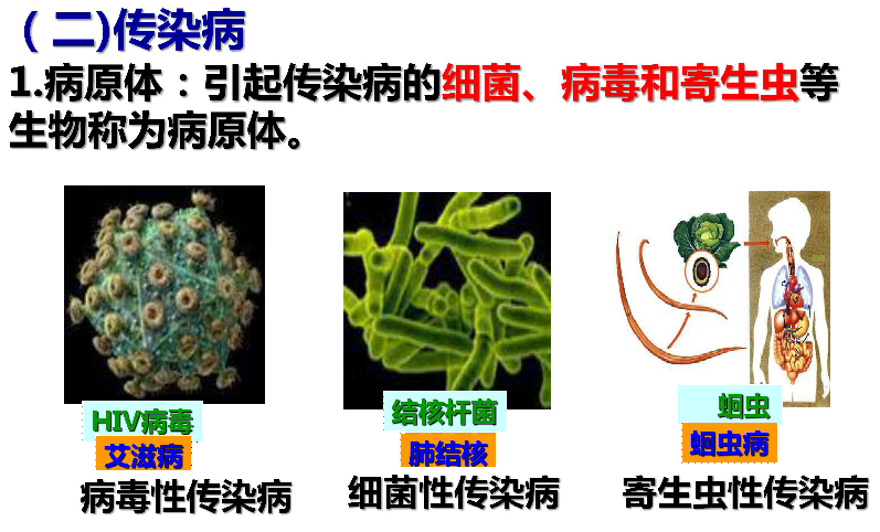 冀教版七下生物 6.2疾病与预防 课件（21张PPT）