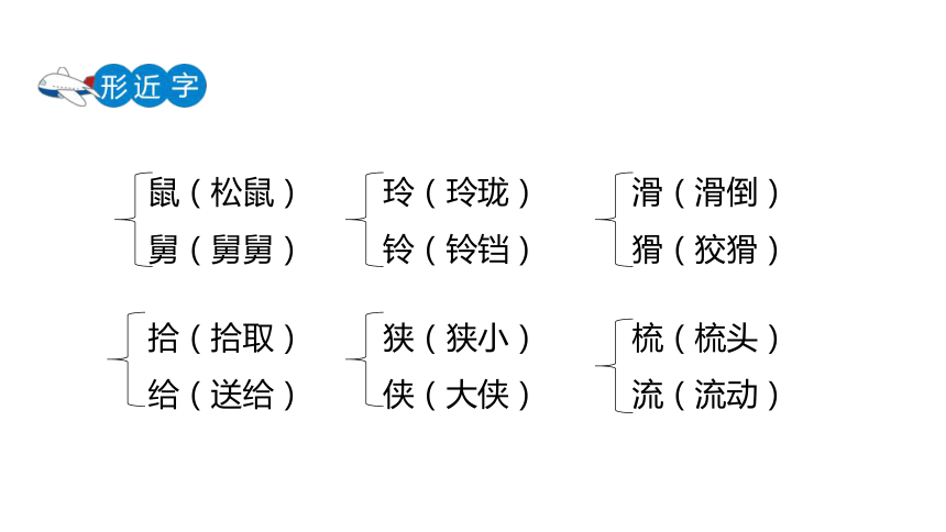 17松鼠课件2课时共36张ppt