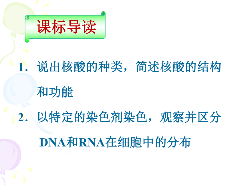 2017-2018学年人教版高中生物必修1第二章第3节 遗传信息的携带者——核酸  课件（28张）