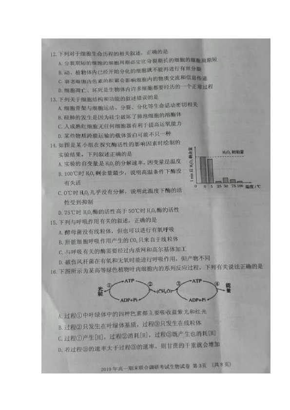 湖北省襄阳市2018-2019学年高一下学期期末考试生物试题 扫描版含答案