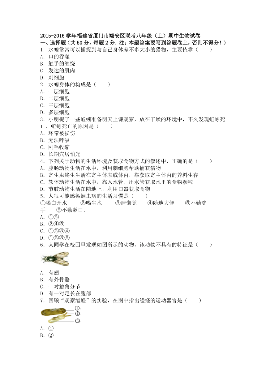 福建省厦门市翔安区联考2015-2016学年上学期八年级（上）期中生物试卷（解析版）