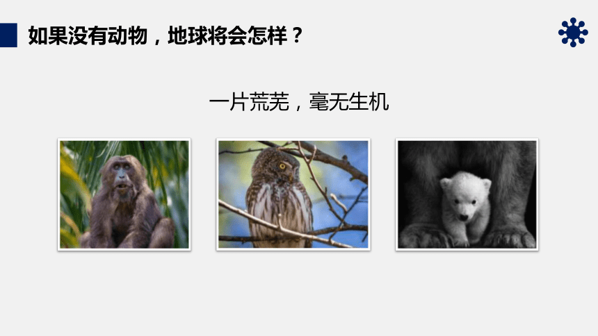 人教版八年级生物上册4.4《细菌和真菌在自然界中的作用》课件（18张ppt）