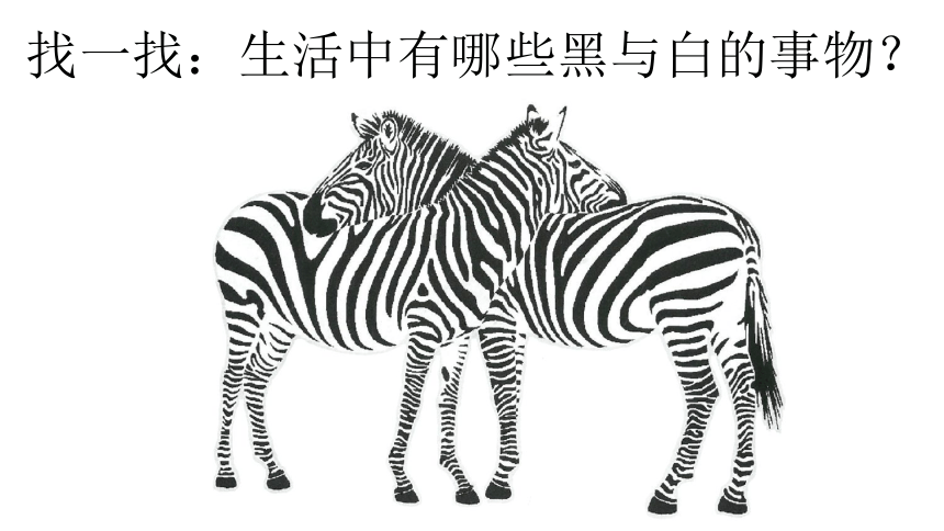 三年级美术黑与白ppt图片