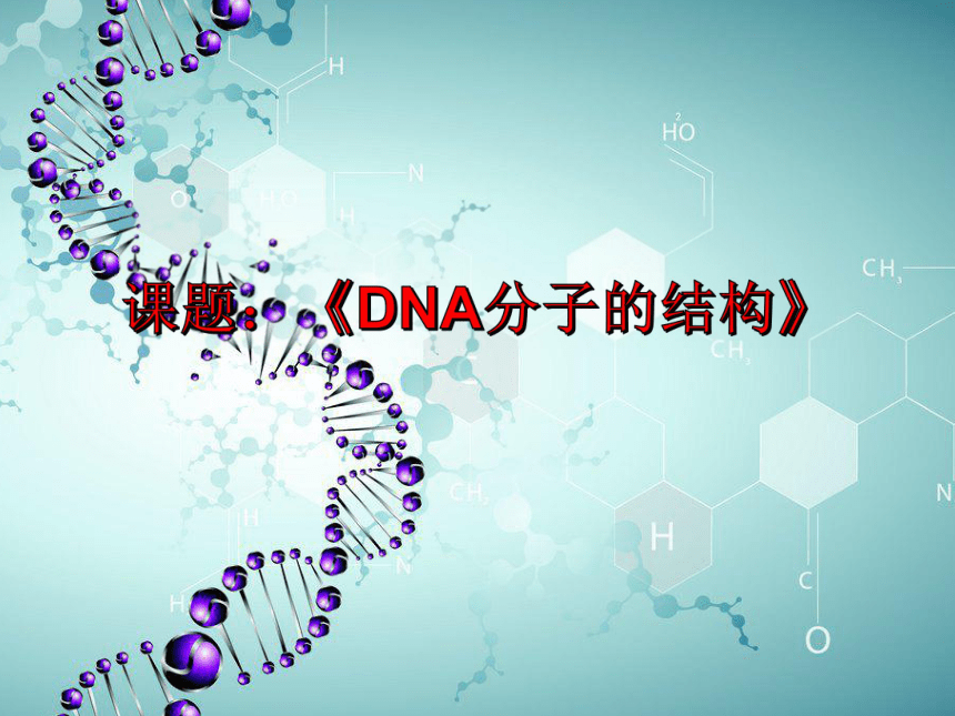 高中生物人教新课标版必修2第3章 基因的本质第2节 DNA分子的结构说课课件24张