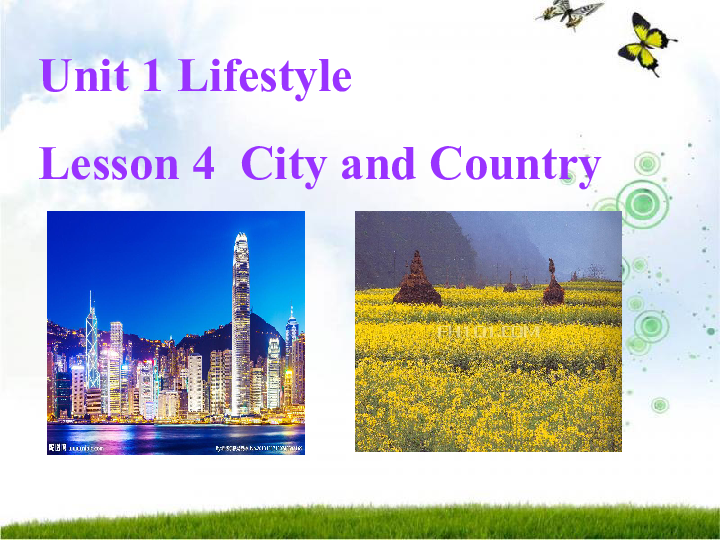 北师大版必修一 英语unit 1 Lifestyles Lesson 4 City and Country课件 (共29张PPT)