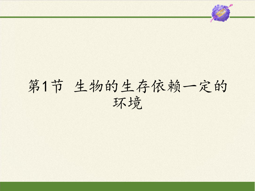 北師大版生物八年級下冊8231生物的生存依賴一定的環境課件共29張ppt