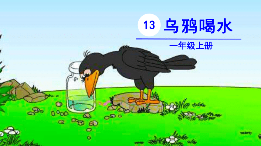 13   乌鸦喝水（27张PPT）