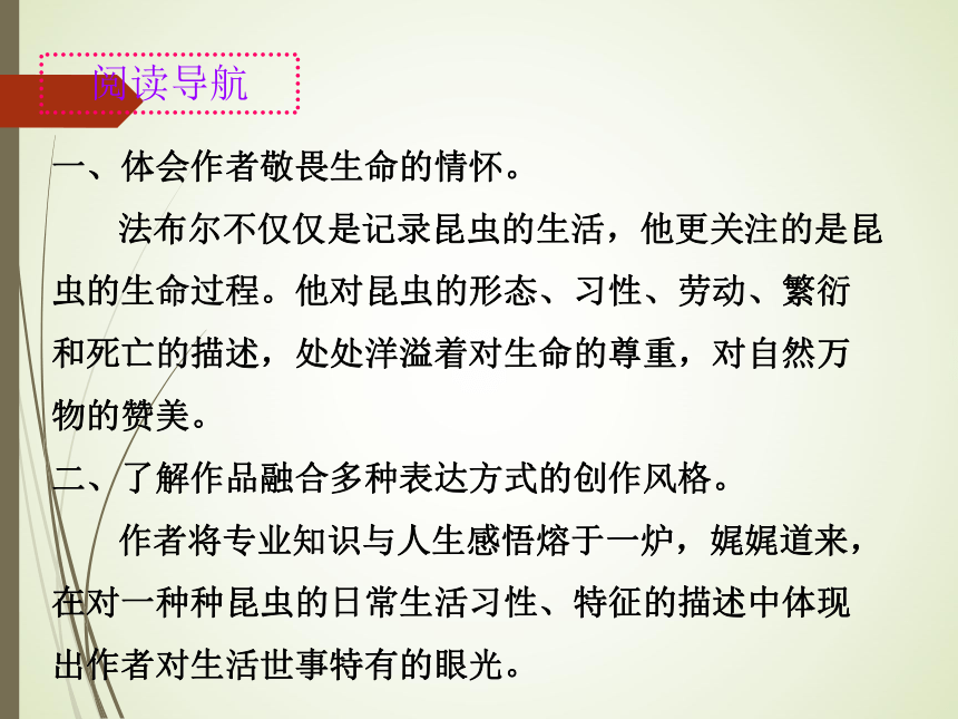 名著阅读《昆虫记》课件