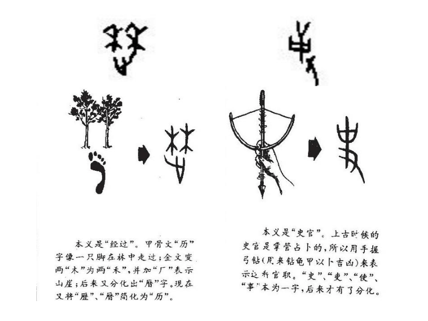 七年级历史上学期导言课