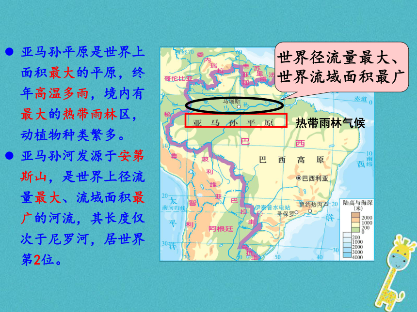 广东省汕头市七年级地理下册第八章第六节巴西课件（新版）湘教版
