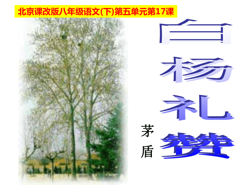 2015-2016学年度北京课改版八年级语文（下）第五单元第17课《白杨礼赞》课件（58张PPT）（共58张PPT）
