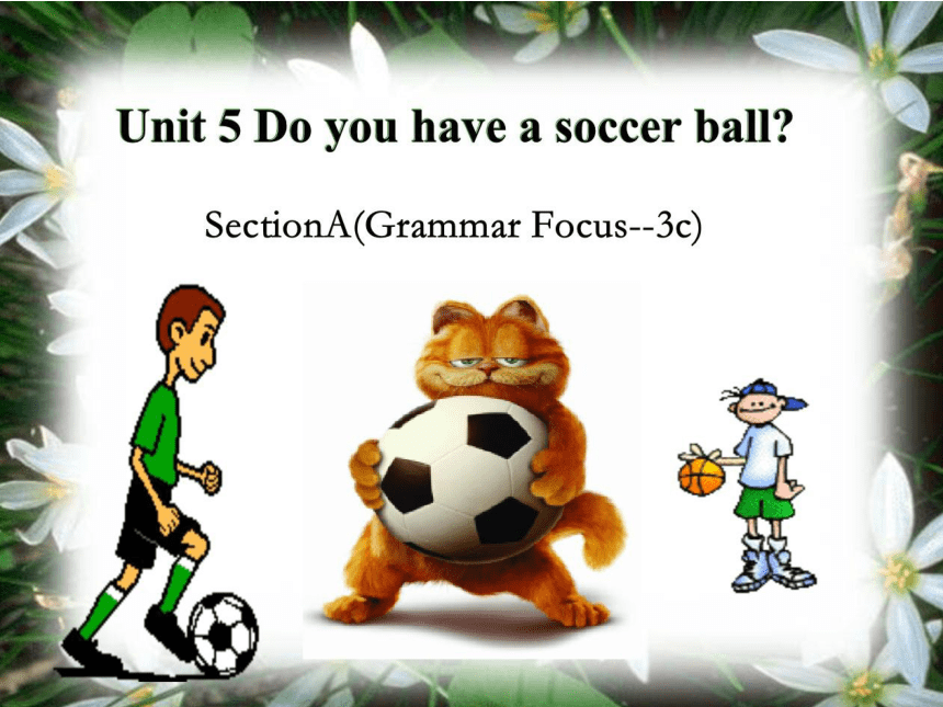 人教版七年级上册Unit 5 Do you have a soccer ball？SectionA Grammar focus 3a-3c ...