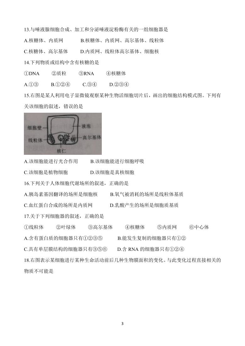 河北省承德市高中2021届高三第一次调研考试 生物 Word版含答案