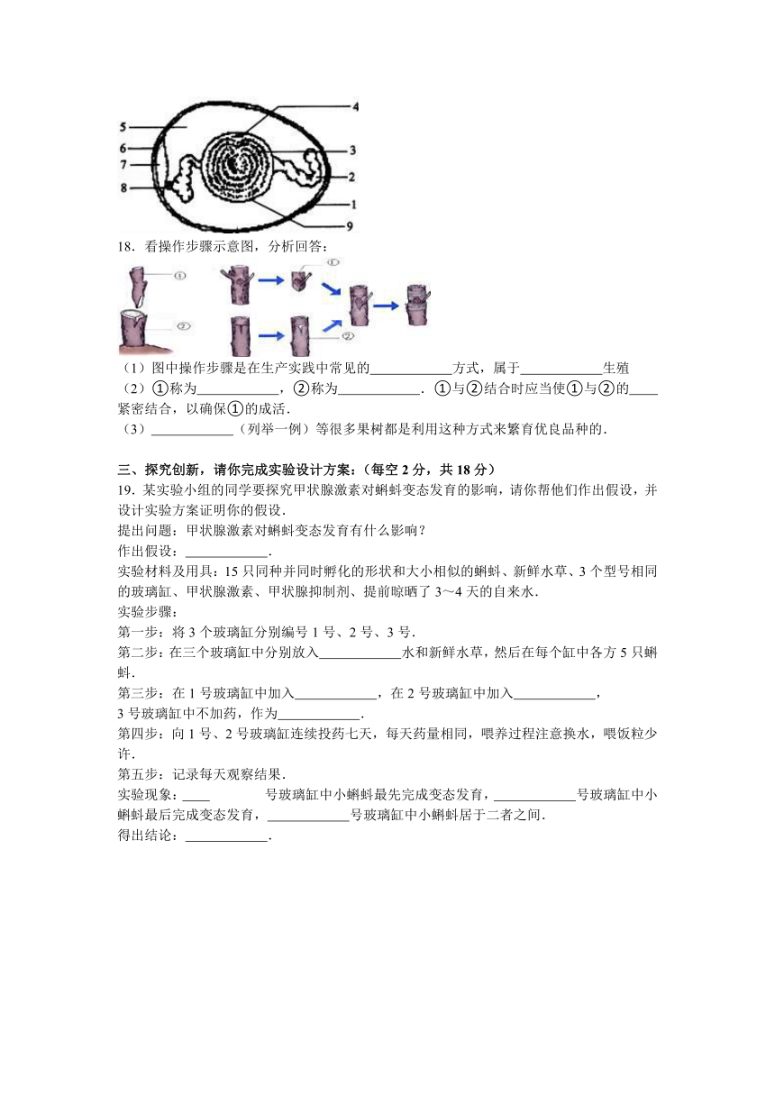 贵州省毕节地区织金县少普中学2015-2016学年八年级（下）期中生物试卷（解析版）