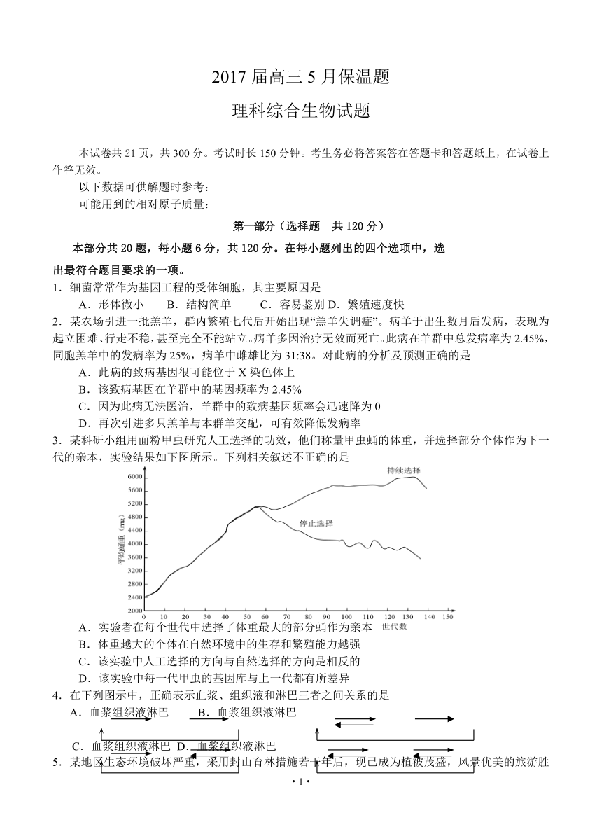 北京四中2017届高三5月高考保温考试 生物