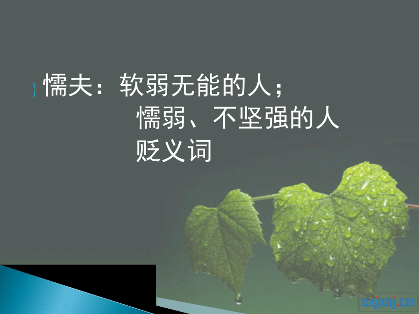 2015——2016上海教育出版社语文八年级上册第二单元课件：第5课《我不是懦夫》（共32张PPT）