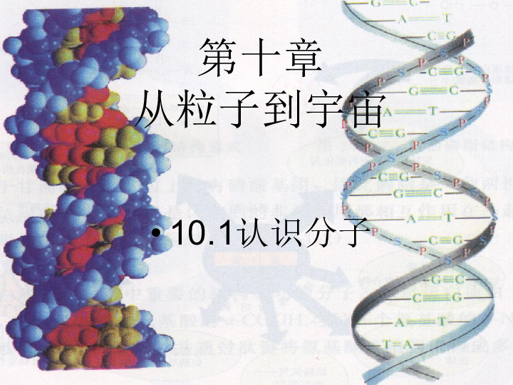 粤沪版八下物理  10.1 认识分子 课件 (19张PPT)