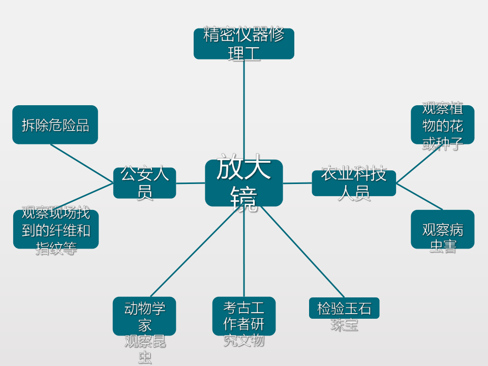 1.1 放大镜（19张ppt）