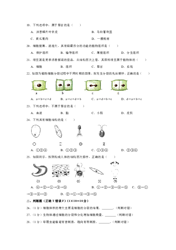 2018-2019学年陕西省安康市部分重点初中七年级（下）期中生物试卷（含解析）