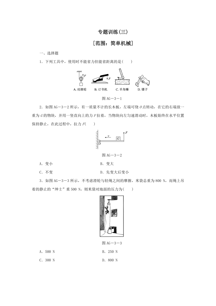 专题训练（三） 简单机械