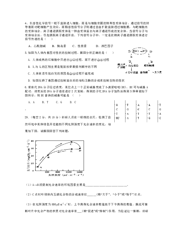 江西省上饶市横峰中学2020届高三下学期高考适应性考试生物试题