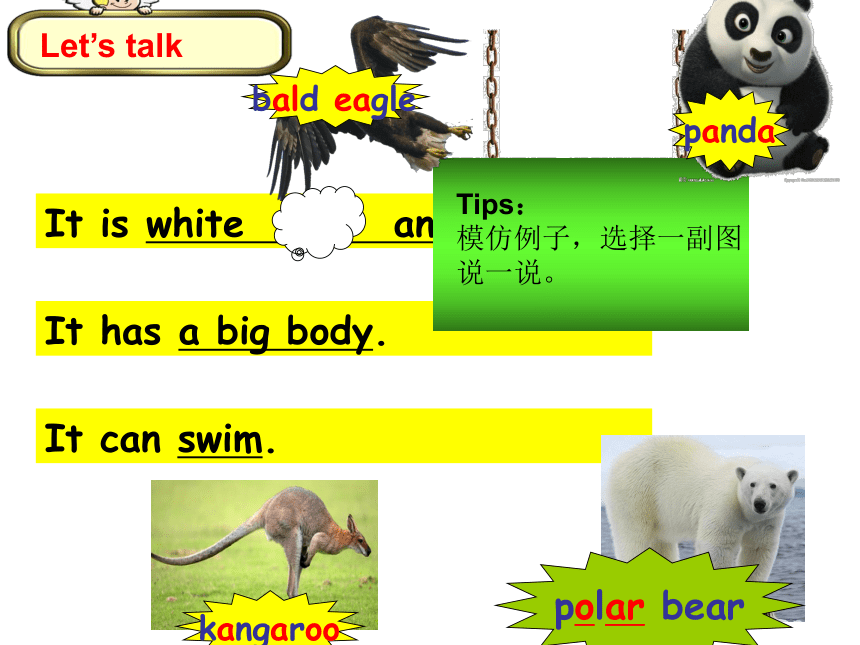 Unit3 Our animal friends Culture Cartoon 课件（共26张）