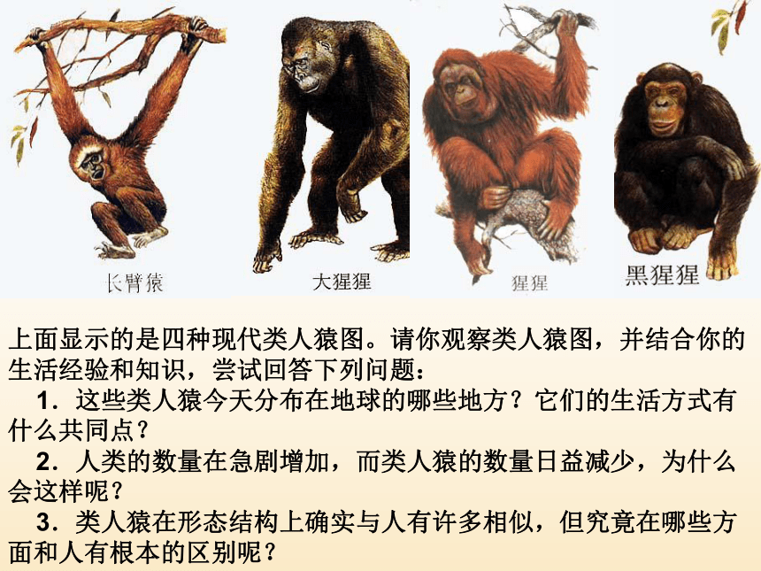 人类的起源和进化