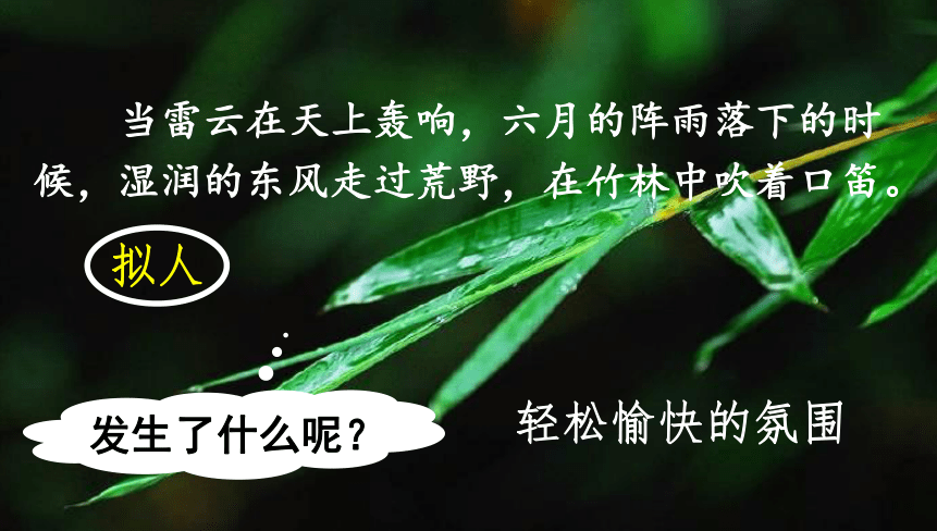 2.花的学校 课件(共19张PPT)