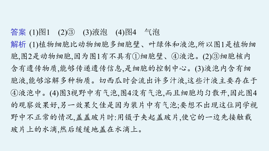 2021年甘肃中考生物二轮复习：大题突破专练课件（108张PPT）