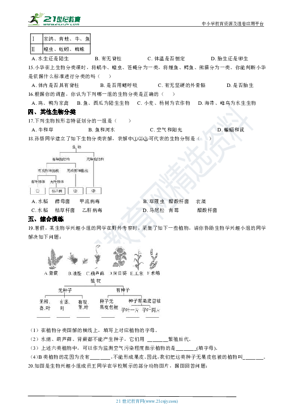 初中生物人教版八年级上册6.1.1尝试对生物进行分类 同步训练（含答案及解析）