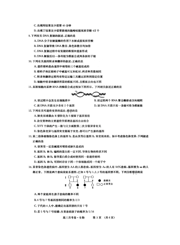 新疆昌吉市教育共同体2019届高三上学期12月月考生物试卷（PDF版）