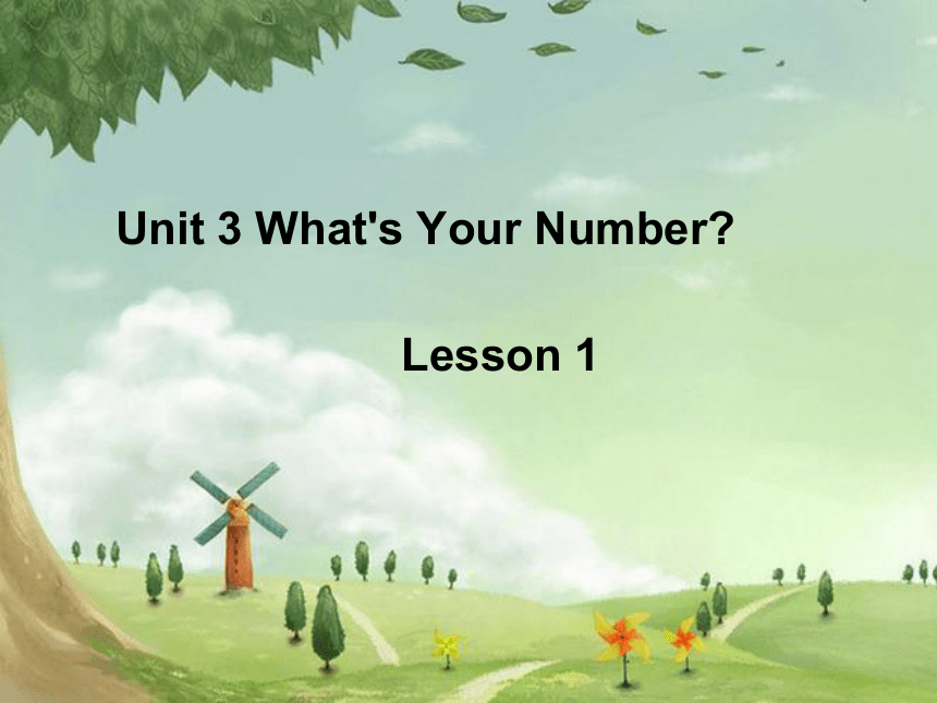 Unit 3 What’s your number Lesson 1 课件