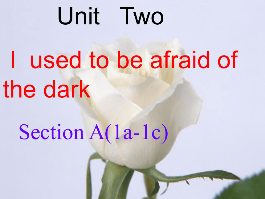 unit 2 I  used to be afraid of  the dark  Section A(1a-1c)
