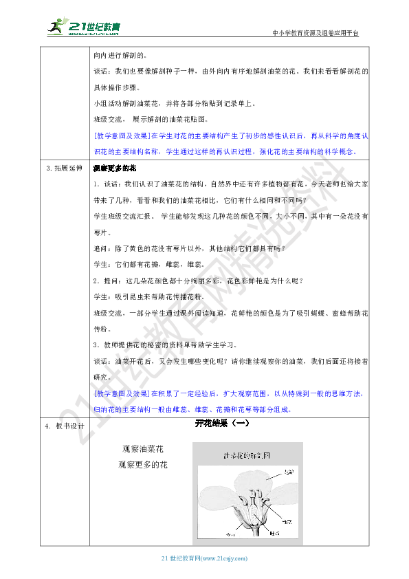 湘科版三年级下册科学5.3《开花结果》第1课时教案