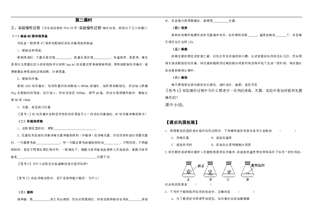 人教版生物高中选修1《3.1菊花的组织培养》学案(含答案)