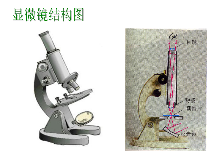 5 望遠鏡與顯微鏡 課件 (25張ppt)