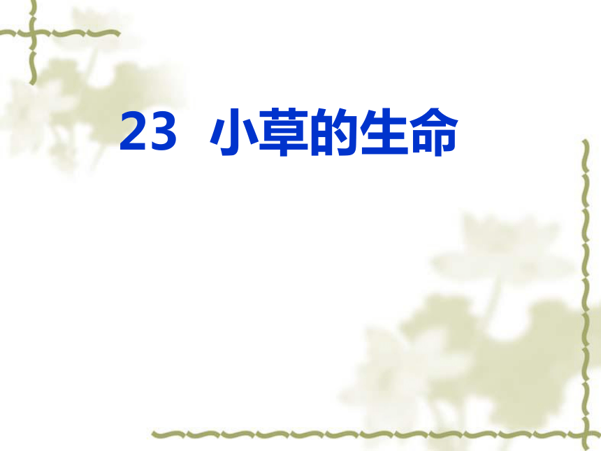 语文二年级上鄂教版8.23《小草的生命》课件（23张）