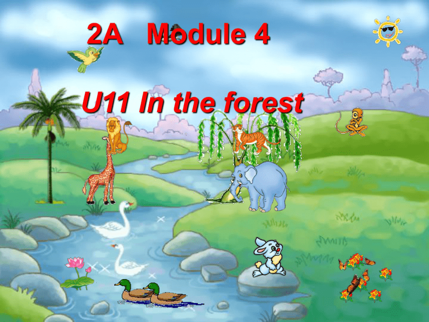 Unit 11  In  the  forest 课件