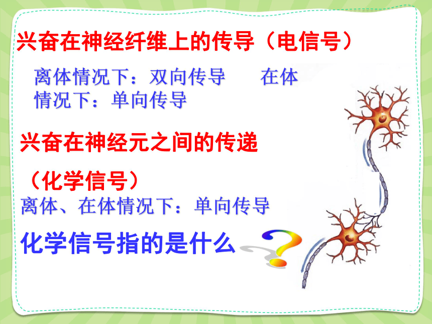 高中生物人教版必修3 第二章第1节通过神经系统的调节第2课时 课件（34PPT）